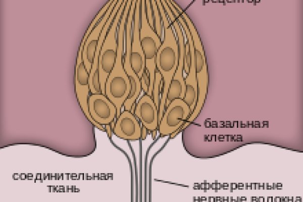 Кракен ссылка gigageek ru