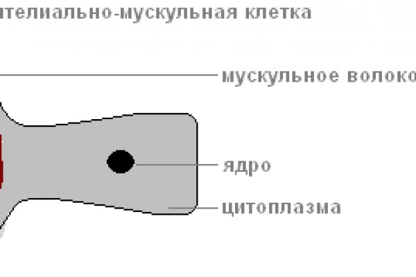 Даркнет официальный сайт вход